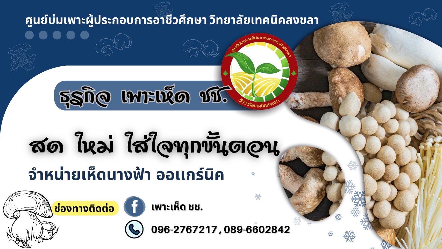 mushroom